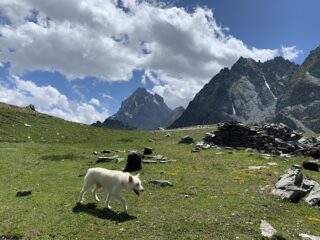 Monviso 