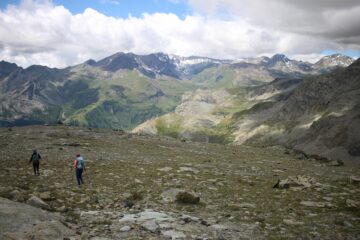 Rosa dei banchi e Torre Ponton