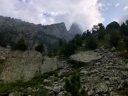 Passaggio basso per arrivare ai prati superiori.