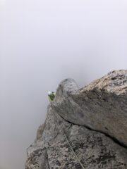 La schiena di mulo