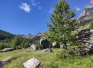 Alpe Vallé