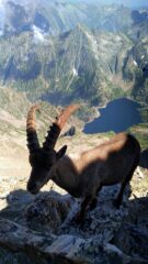 Incontri ravvicinati