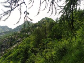 Tignolino di Trontano e Punta I Pisoni