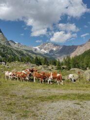 Vista dal parcheggio 