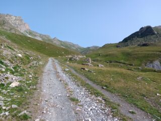 La parte alta del vallone.