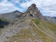 Gran Guglia dal Colletto.