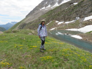 Fiori e parte del lago