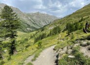 sentiero dai laghi verso la sterrata