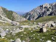 tratta intermedio tra fine bosco e salita al colle