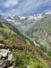 Gran Paradiso e Valnontey
