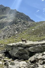 pianoro sopra Alpe Money 