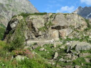 Alpe di Sea