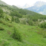 il sentiero non segnato attraversa questa valletta allungata alla base del versante S-E della Crou de Bleintse; a dx in basso la conca detritica con grandi massi