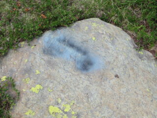 segnali tutti cancellati