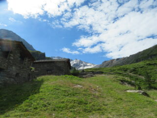 Alpe Forciaz