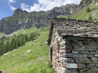 Corno Creil