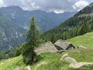 Alpe Matli 