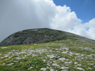 Cima della Brignola (m.2472)