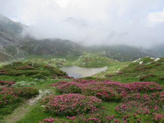 Lago della Brignola