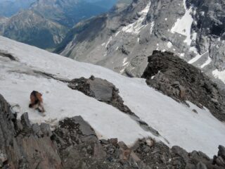Nevaio ripido affrontato in discesa sulla Cresta Sud