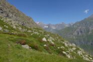 Un'occhiata all'alta valle