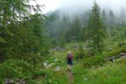 Si esce dal bosco