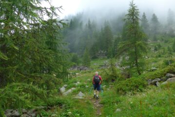 Si esce dal bosco