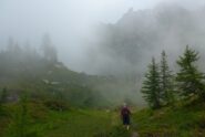 Ai laghi, nella nebbia