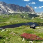 Rododendri , Calcare e Laghi Blu