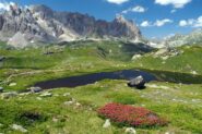Rododendri , Calcare e Laghi Blu