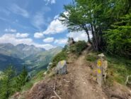 sentiero 9A poco sopra il colle Fenetre