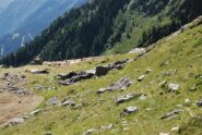 L’Alpe di Valnera superiore, oggi presidiata da cani arrabbiati ma legati, vista salendo