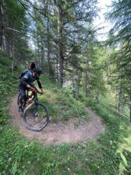 Flow nel bosco spettacolare