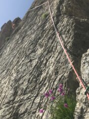 Sesto tiro, traverso