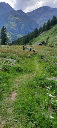 scendendo sul bellissimo sentiero 7B