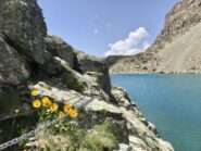 Cengia dei Camosci e Lago delle Forciolline
