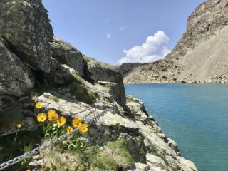 Cengia dei Camosci e Lago delle Forciolline