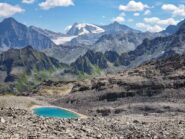 goli d'aget e pigne d'arolla