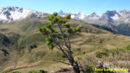 Sguardo sul Pic de Rochebrune