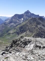 Rothorn e Testa Grigia