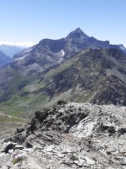 Rothorn e Testa Grigia