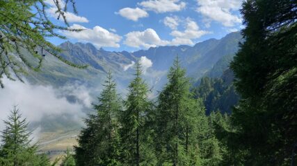 Scendendo dalle barricate la conca del Pra.