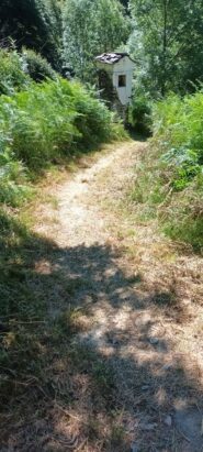 Verso Lities