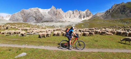 Ostacoli imprevisti lungo la salita per il col de la Ponsonniere