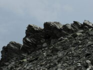 Cima