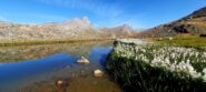 Laghetto innominato sopra il lago Bleu