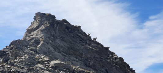 Ultimo salto difeso dai padroni di casa