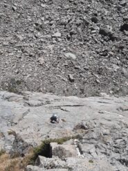 Stupenda placca iniziale