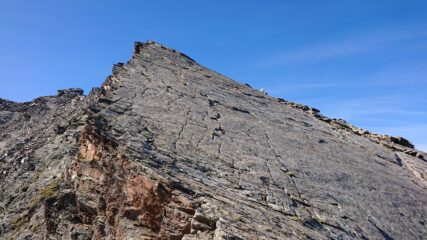 La placca liscia, o sul filo o tagliare a sinistra.