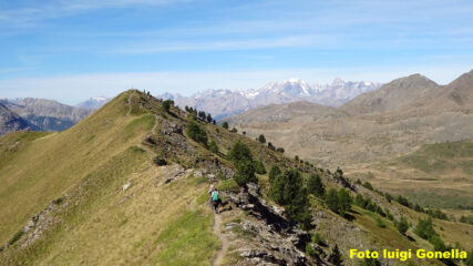 Verso la Fournier